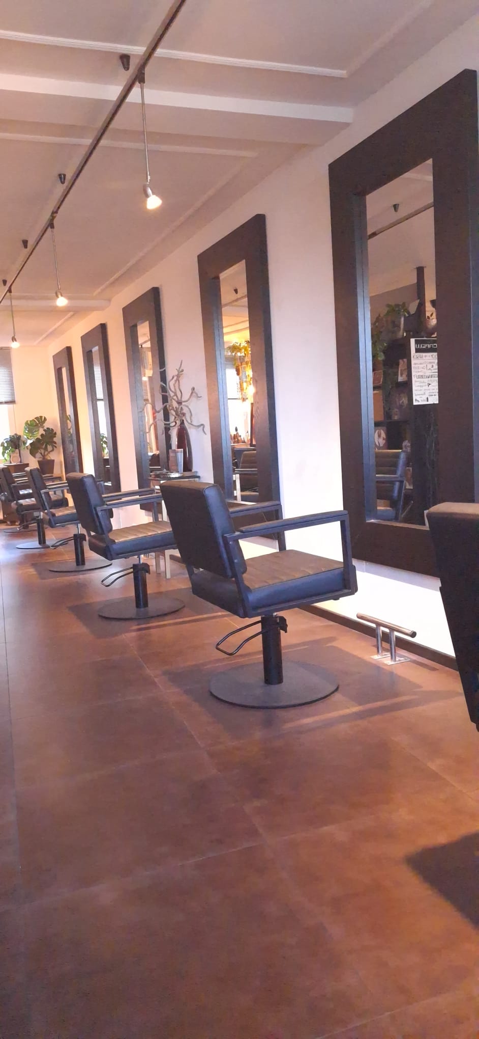 Capelli salon