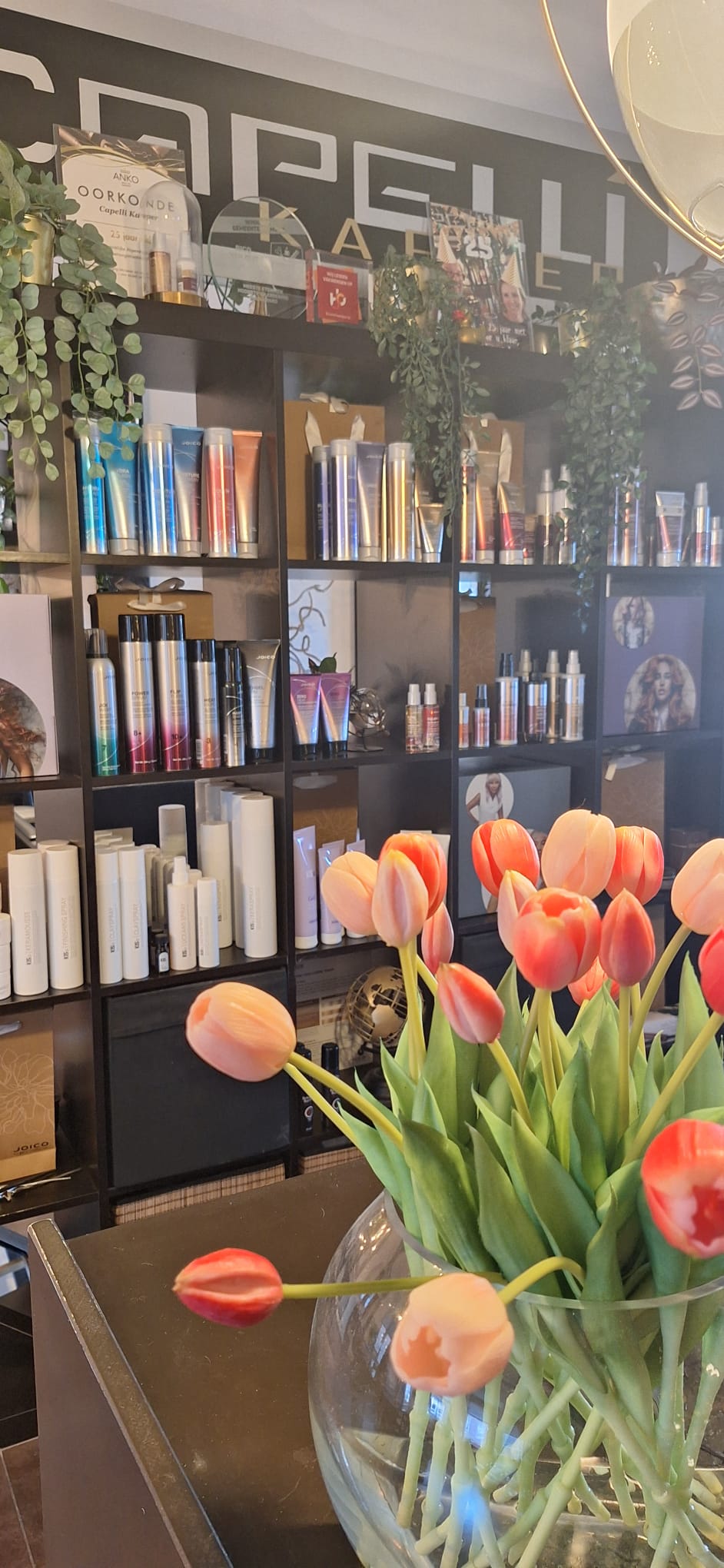 Capelli salon